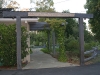 A COUNTRY GARDEN IN PALO ALTO