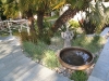 A POOL REMODEL IN HILLSBOROUGH