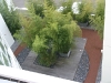 A ROOFTOP GARDEN IN SAN FRANCISCO