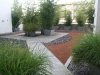 A ROOFTOP GARDEN IN SAN FRANCISCO