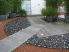 A ROOFTOP GARDEN IN SAN FRANCISCO