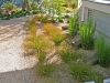 A SANCTUARY GARDEN IN PALO ALTO