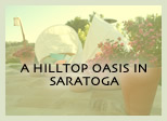 A HILLTOP OASIS IN SARATOGA