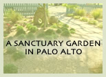 A SANCTUARY GARDEN IN PALO ALTO